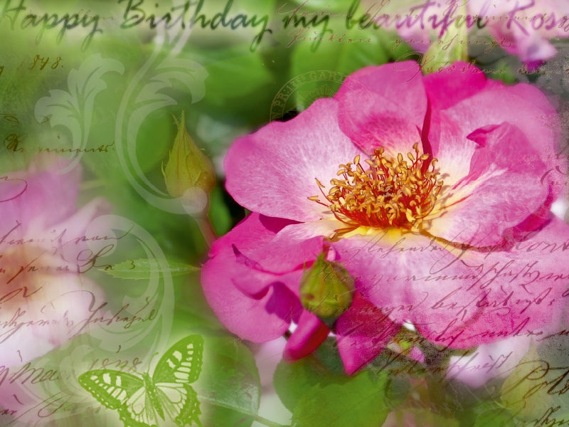 Geburtstagsgruß an Rose 1000 Teile Puzzle quer - CALVENDO Foto-Puzzle'