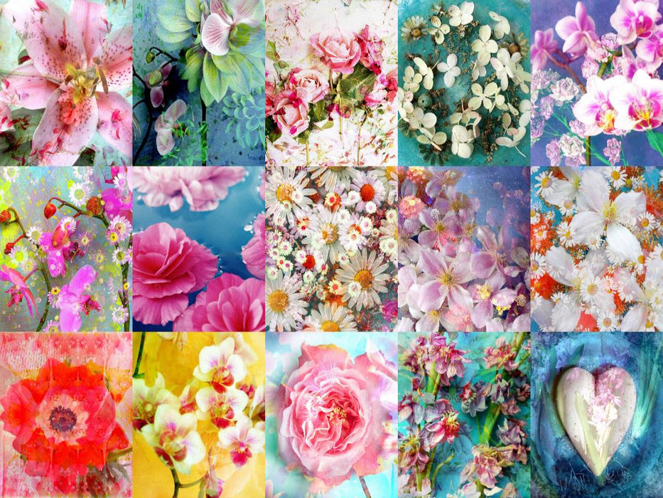 Ein Bild aus dem Kalender Leidenschaftliche Blumen - CALVENDO Foto-Puzzle'