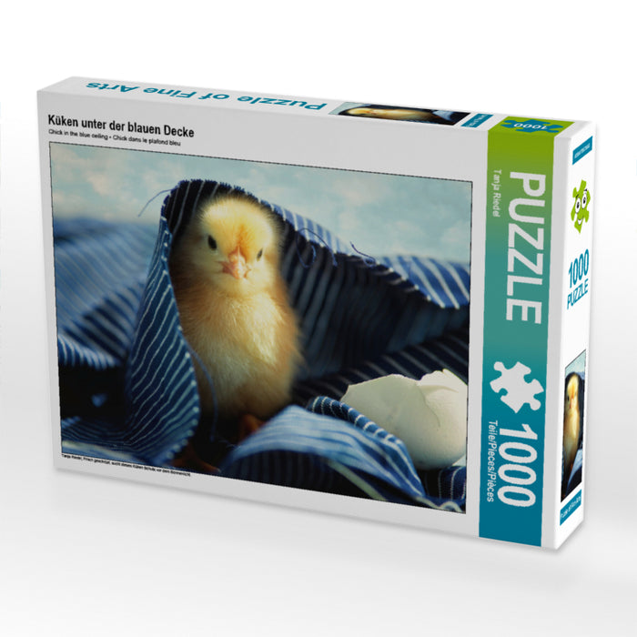 Küken unter der blauen Decke 2000 Teile Puzzle quer - CALVENDO Foto-Puzzle'