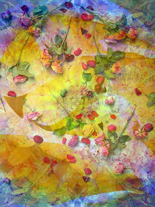 Sonniges Rosenbett - CALVENDO Foto-Puzzle'