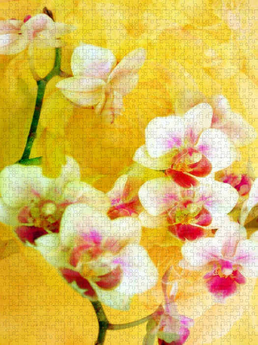 Sonnige Orchideen - CALVENDO Foto-Puzzle'
