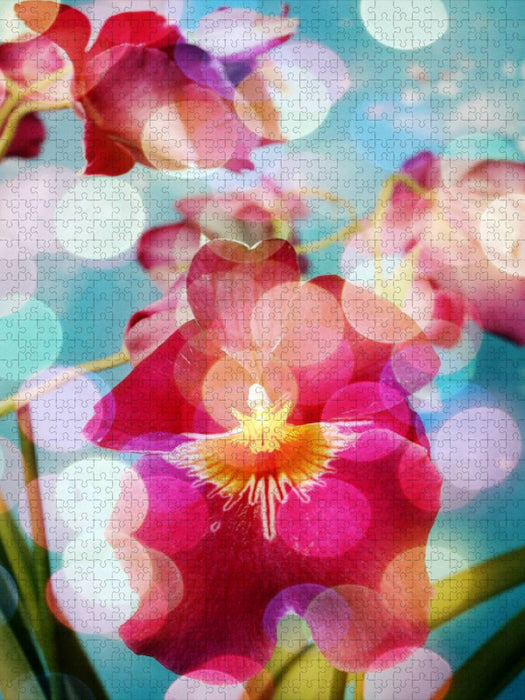 Traumhafte Miltonia Orchidee - CALVENDO Foto-Puzzle'