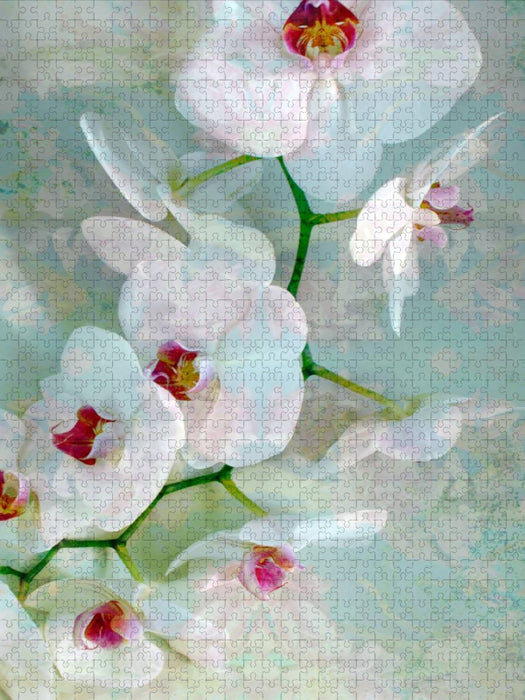 White Blue Orchid - CALVENDO photo puzzle 