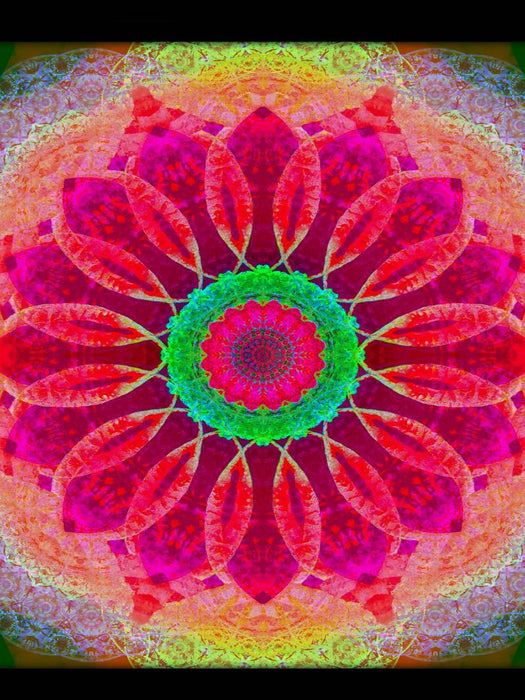 Magie der Blüte - CALVENDO Foto-Puzzle'