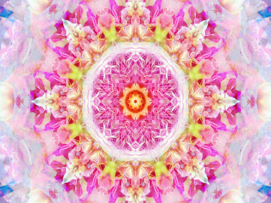 Blüten Mandala Rosa - CALVENDO Foto-Puzzle'