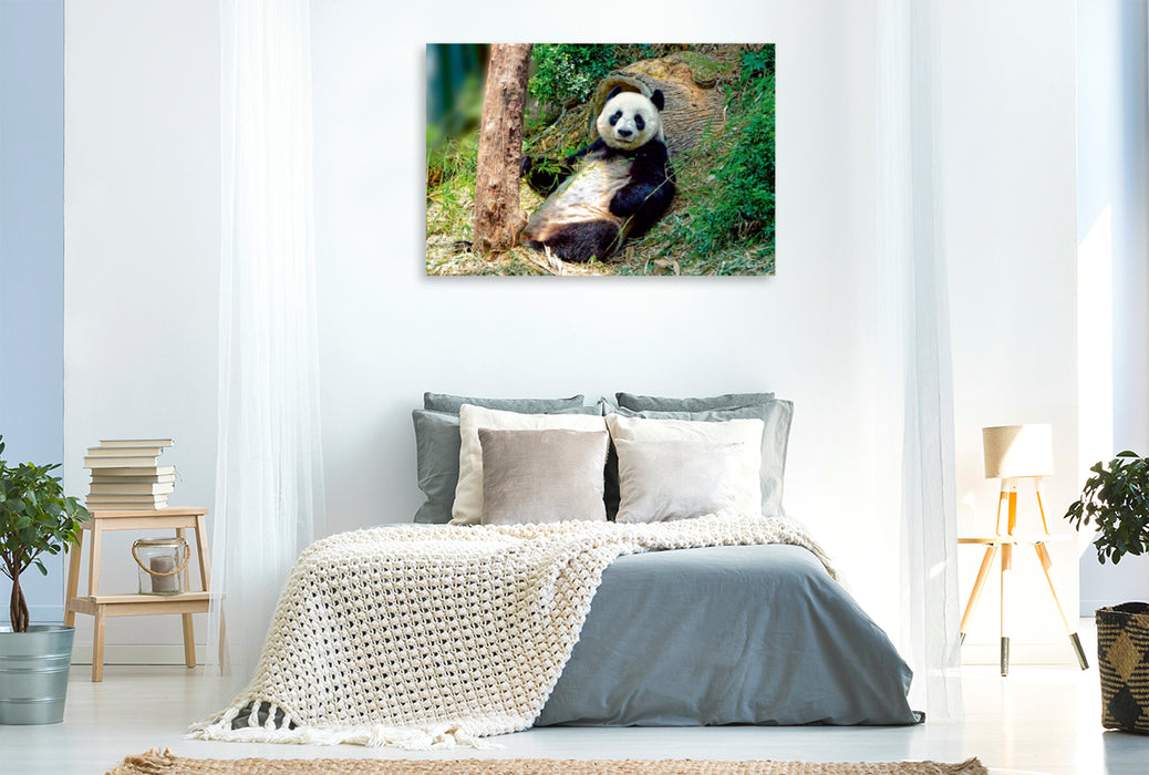 Premium Textil-Leinwand Premium Textil-Leinwand 120 cm x 80 cm quer Niedlicher Panda