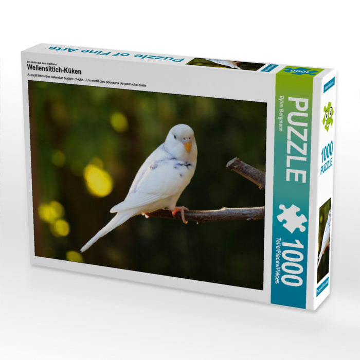 Budgie chicks - CALVENDO photo puzzle 