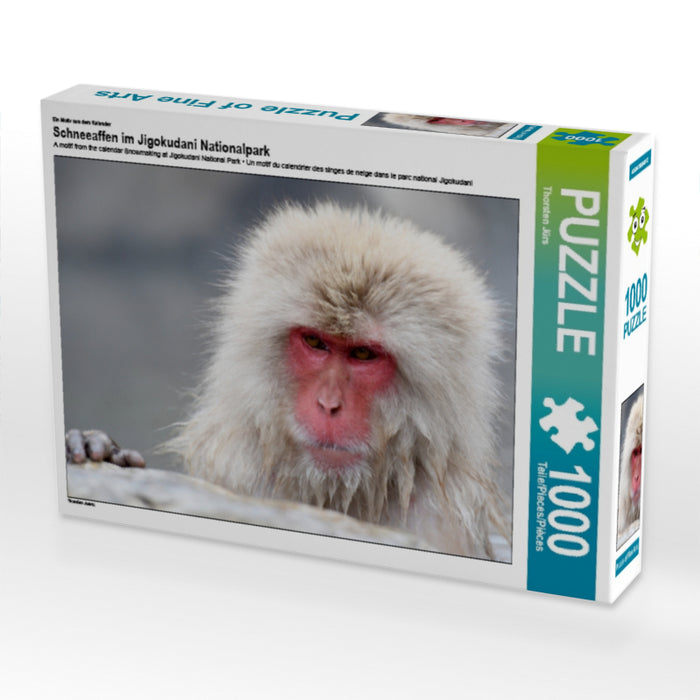 Ein Motiv aus dem Kalender Schneeaffen im Jigokudani Nationalpark 1000 Teile Puzzle quer - CALVENDO Foto-Puzzle'