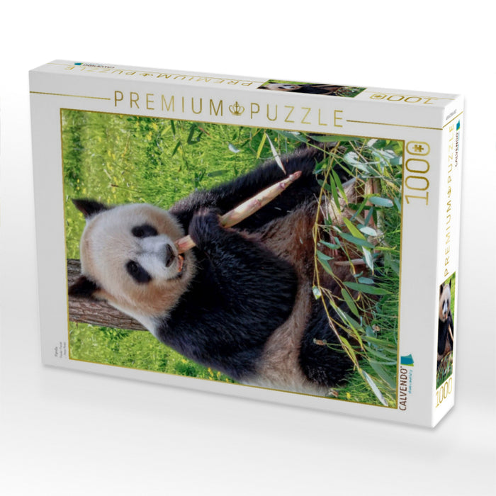 Panda - CALVENDO photo puzzle 