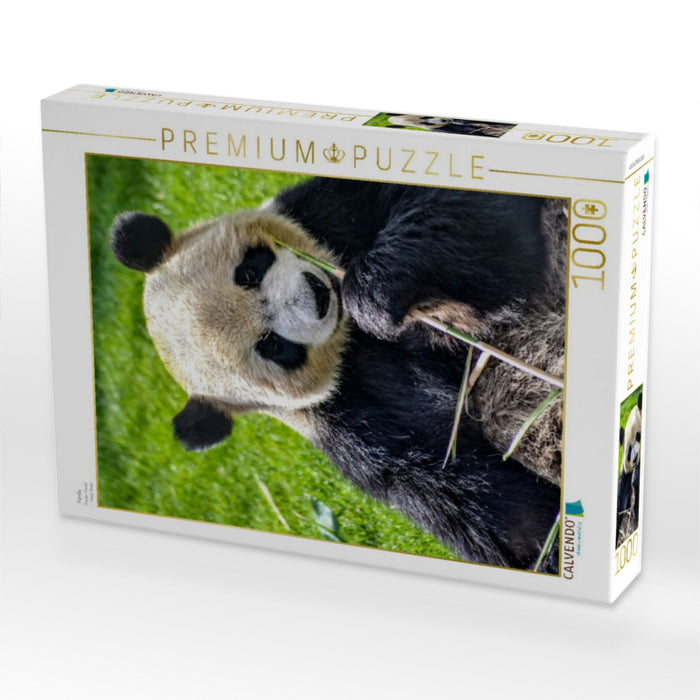 Panda - CALVENDO Foto-Puzzle'