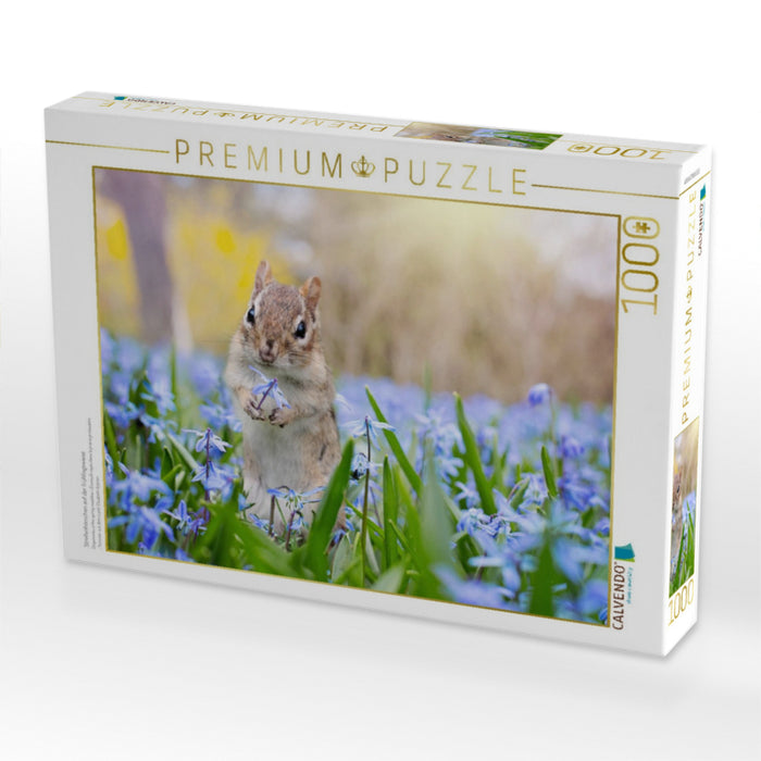 Streifenhörnchen auf der Frühlingswiese - CALVENDO Foto-Puzzle'