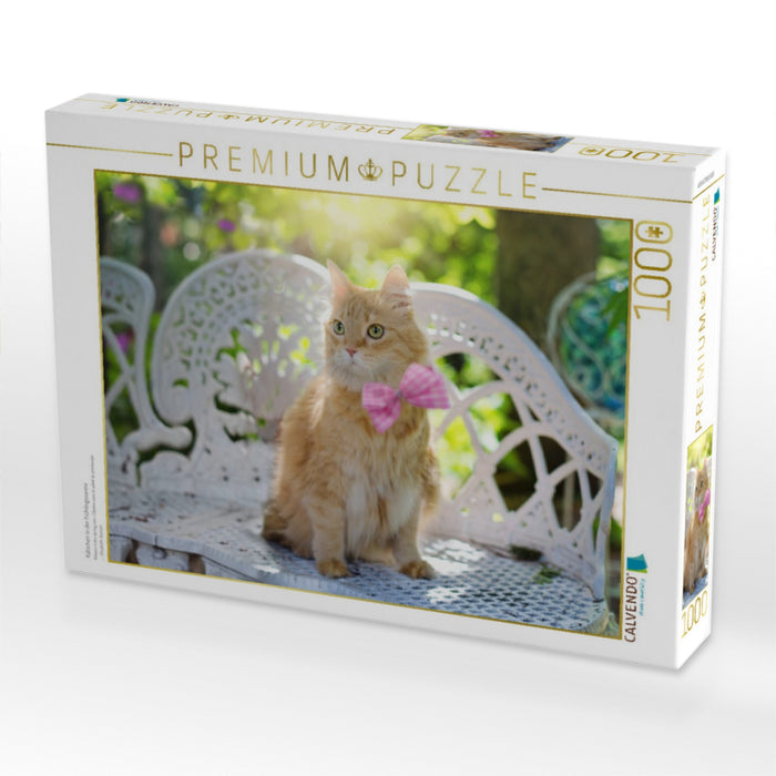 Kätzchen in der Frühlingssonne - CALVENDO Foto-Puzzle'
