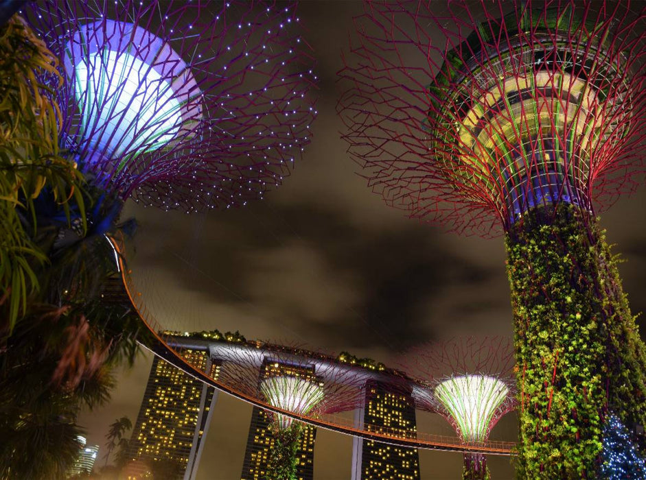 Die Superbäume im "Garden by the Bay" - CALVENDO Foto-Puzzle'