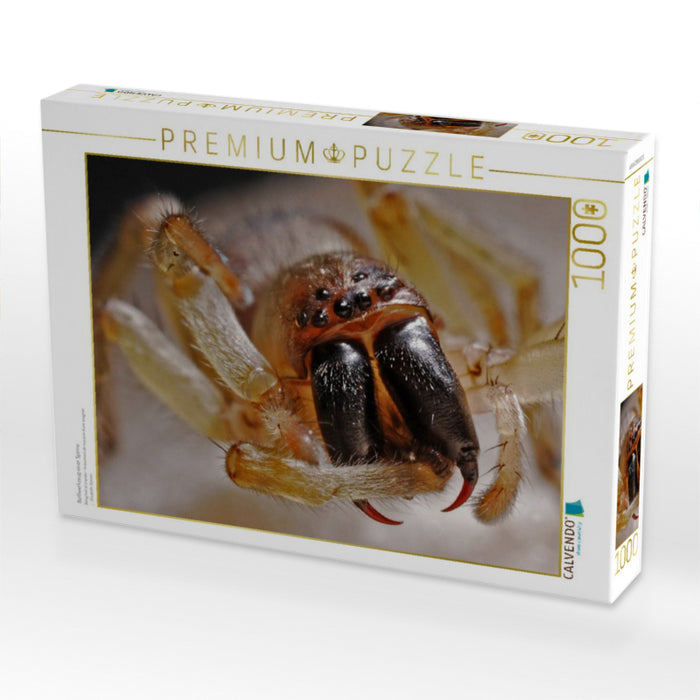 Beißwerkzeug einer Spinne - CALVENDO Foto-Puzzle'