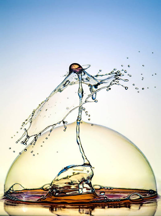 Protection - CALVENDO Foto-Puzzle'