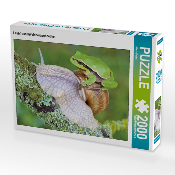 Rainette/escargot de vigne - Puzzle photo CALVENDO 
