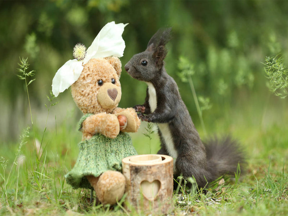 Eichhörnchen mit Freund Teddy - CALVENDO Foto-Puzzle'
