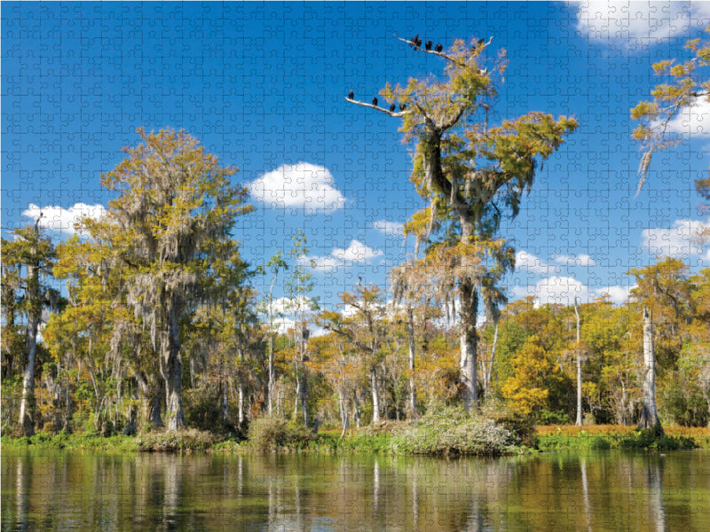 Walkulla Springs - CALVENDO photo puzzle 