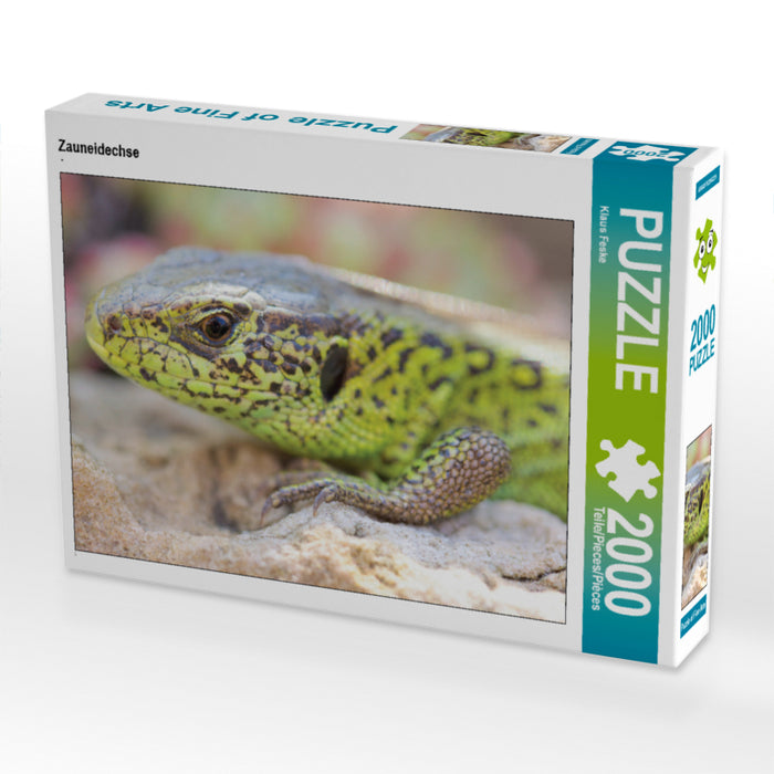 Lézard des sables - Puzzle photo CALVENDO 
