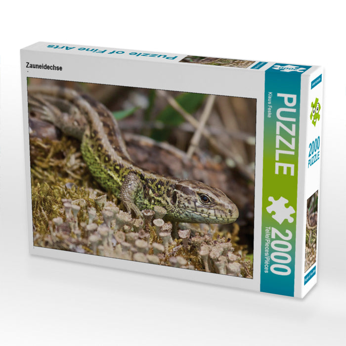 Sand Lizard - CALVENDO Photo Puzzle 