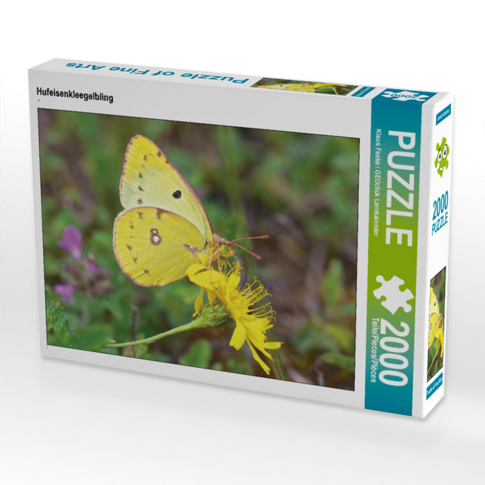 Hufeisenkleegelbling 2000 Teile Puzzle quer - CALVENDO Foto-Puzzle'