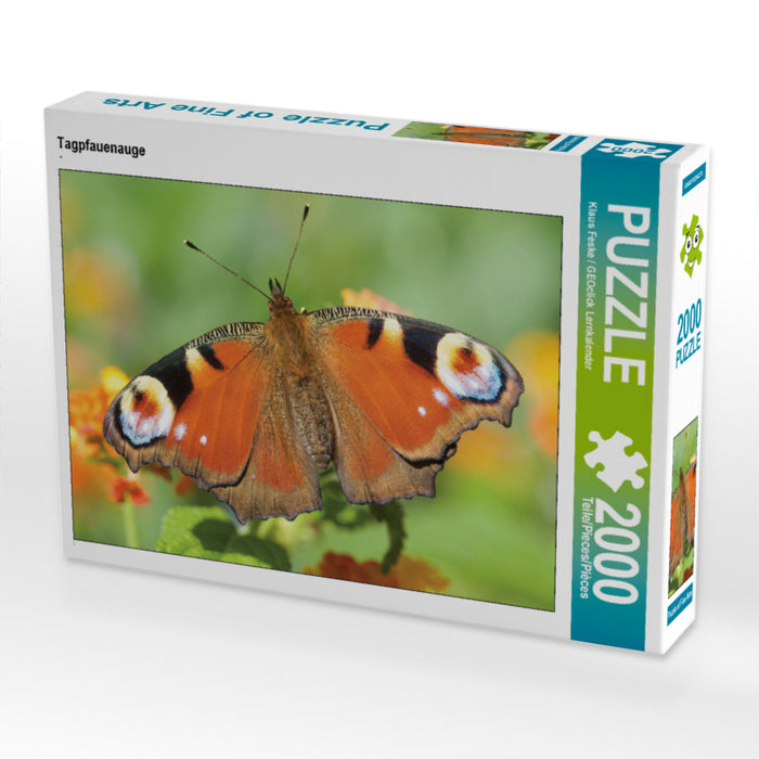 Peacock butterfly - CALVENDO photo puzzle 