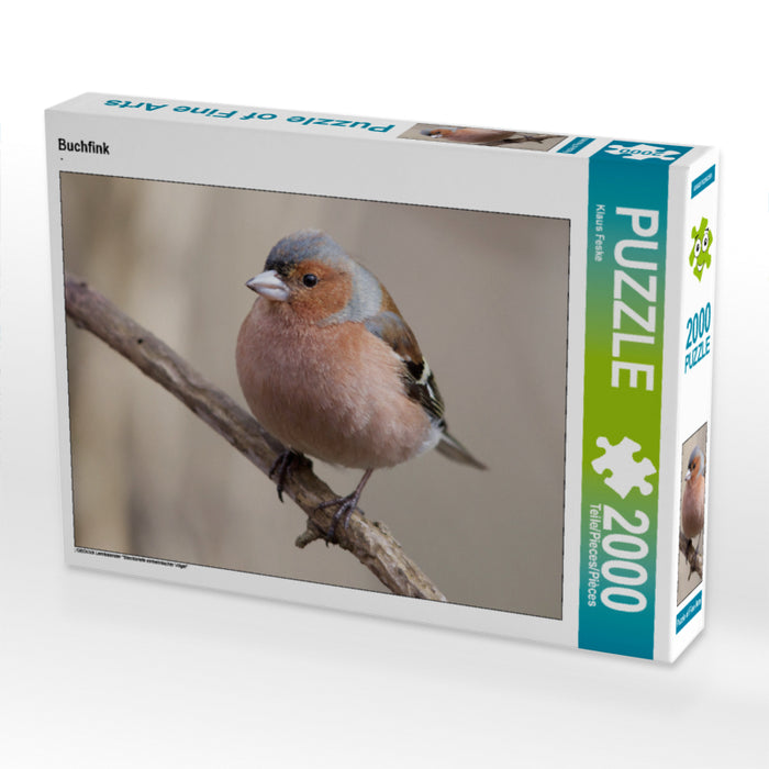 Buchfink 2000 Teile Puzzle quer - CALVENDO Foto-Puzzle'