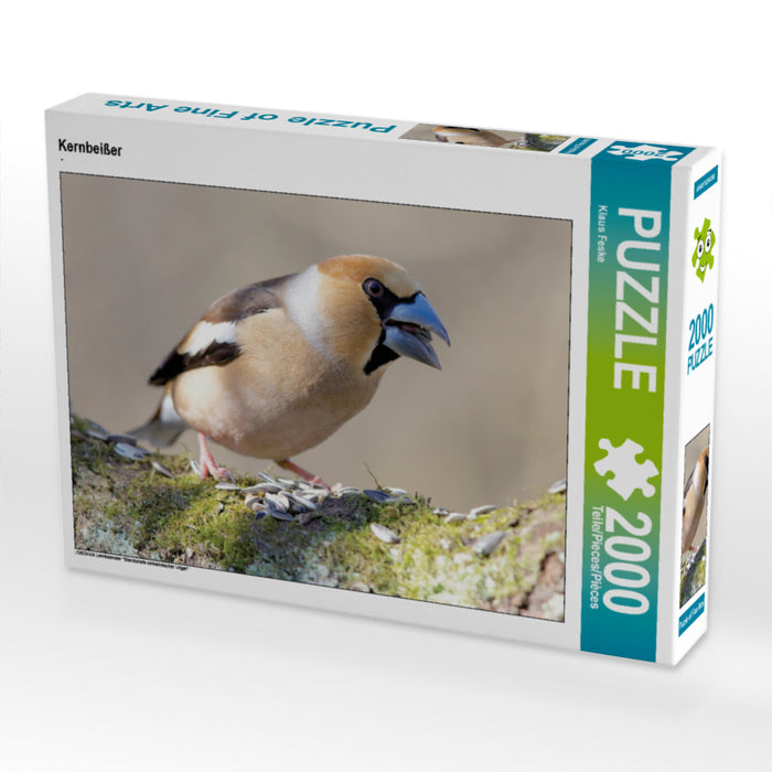 Gros-bec - Puzzle photo CALVENDO 