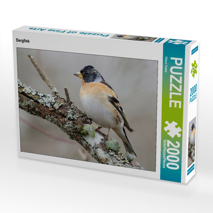 Brambling - CALVENDO photo puzzle 