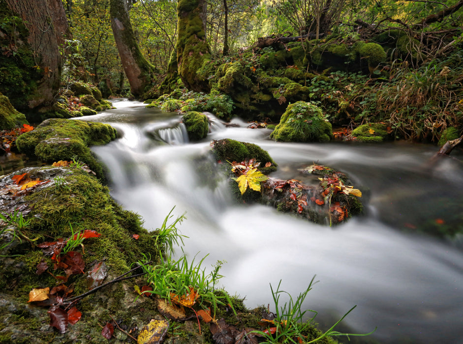 Le Brühlbach fait son chemin - Puzzle photo CALVENDO 
