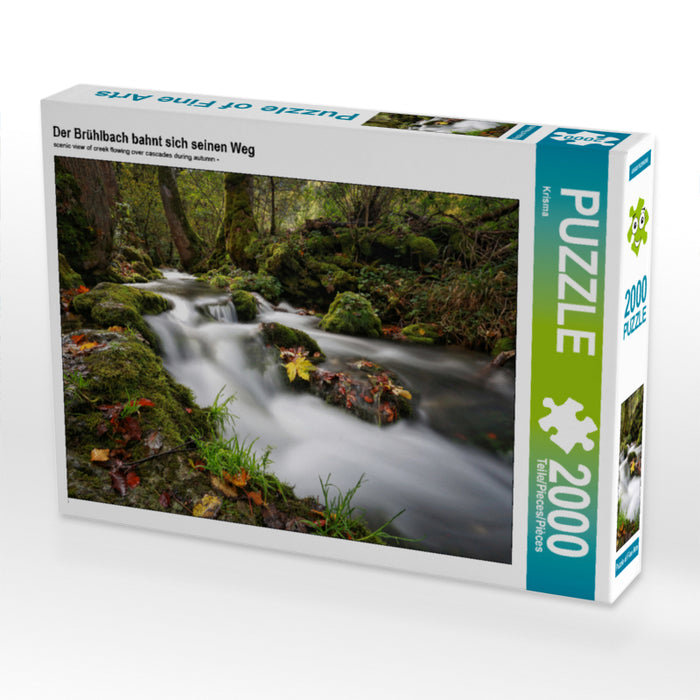 Le Brühlbach fait son chemin - Puzzle photo CALVENDO 