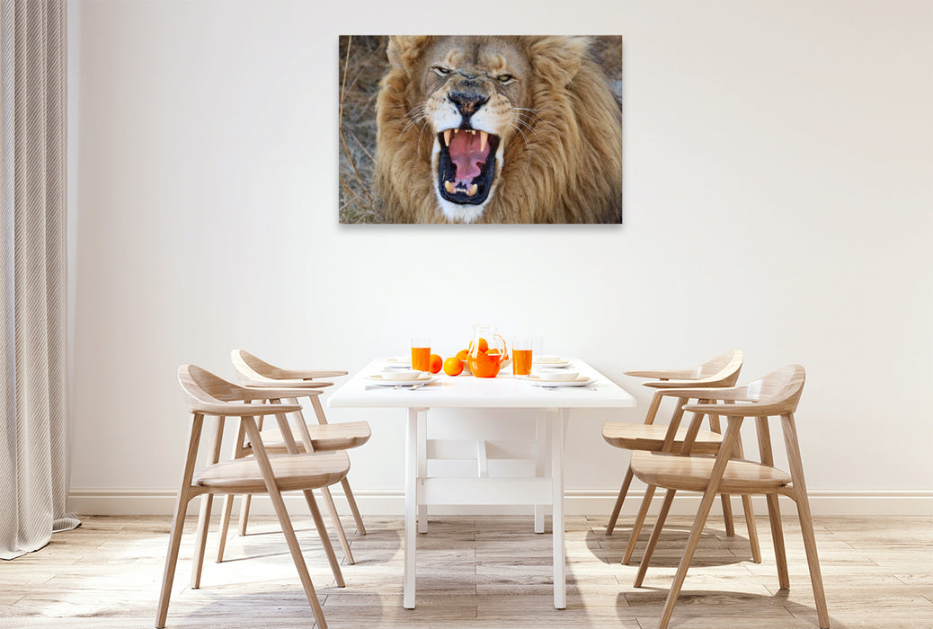 Premium Textil-Leinwand Ein Motiv aus dem Kalender LION KING SELFIES Löwen hautnah