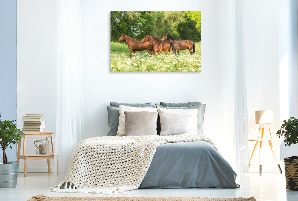Premium Textil-Leinwand Premium Textil-Leinwand 120 cm x 80 cm quer Ein Motiv aus dem Kalender Pferde im Grünen