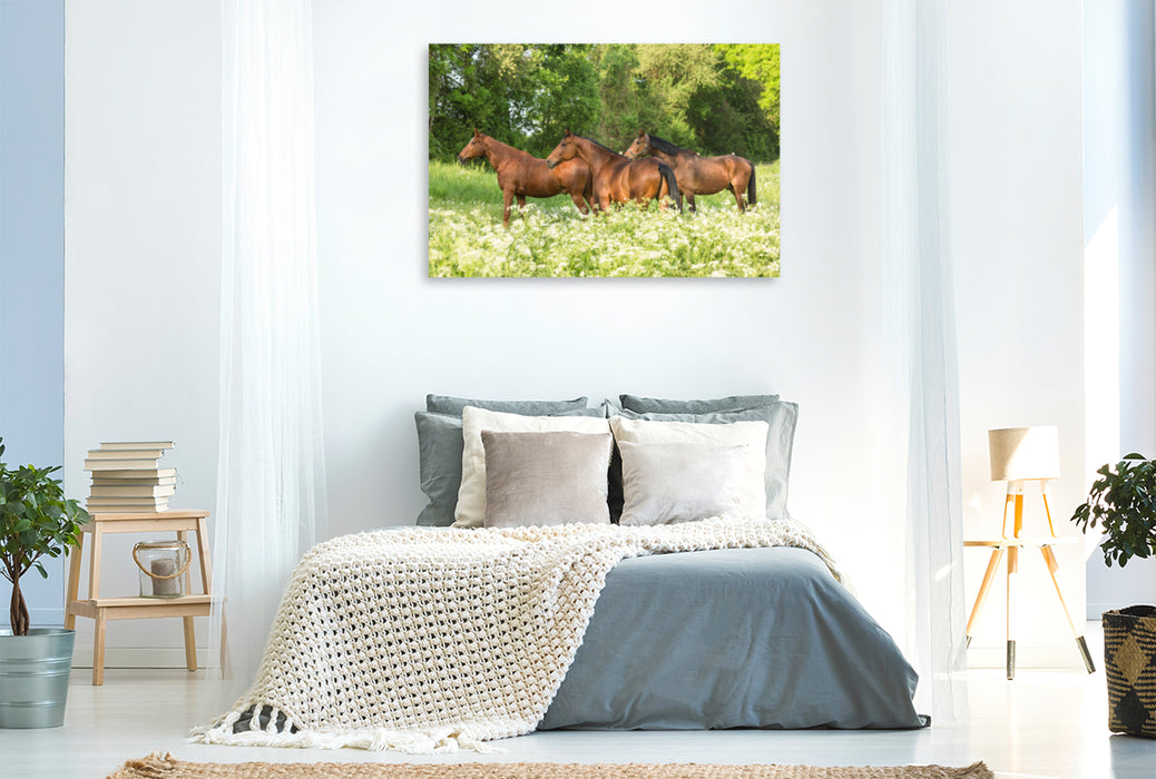 Premium textile canvas Premium textile canvas 120 cm x 80 cm landscape A motif from the calendar Horses in the Green 