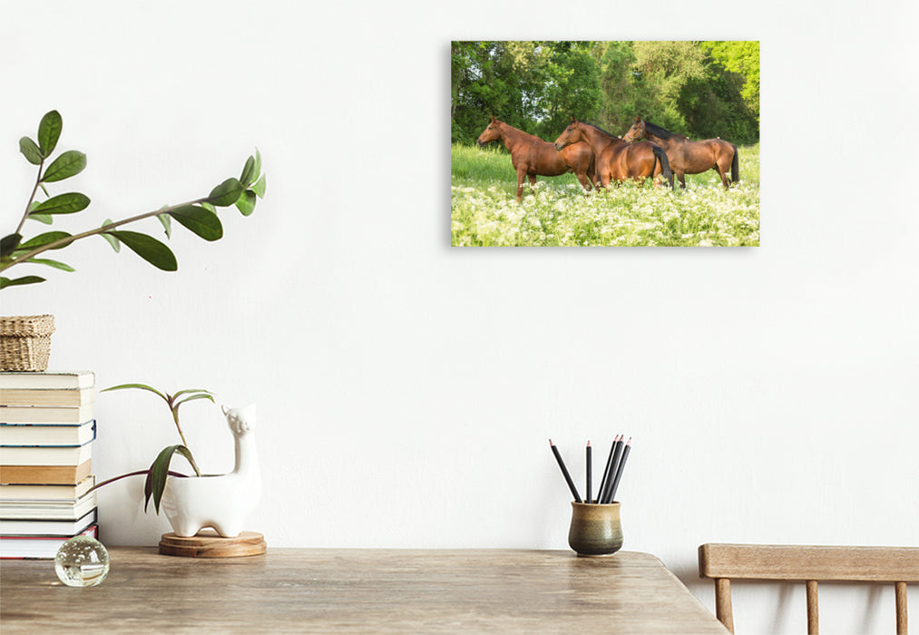 Premium textile canvas Premium textile canvas 120 cm x 80 cm landscape A motif from the calendar Horses in the Green 