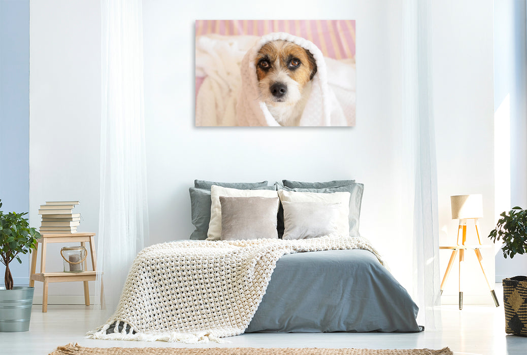 Premium Textil-Leinwand Premium Textil-Leinwand 120 cm x 80 cm quer Ein Motiv aus dem Kalender Kleine Hundeauszeiten auf Terrierart!