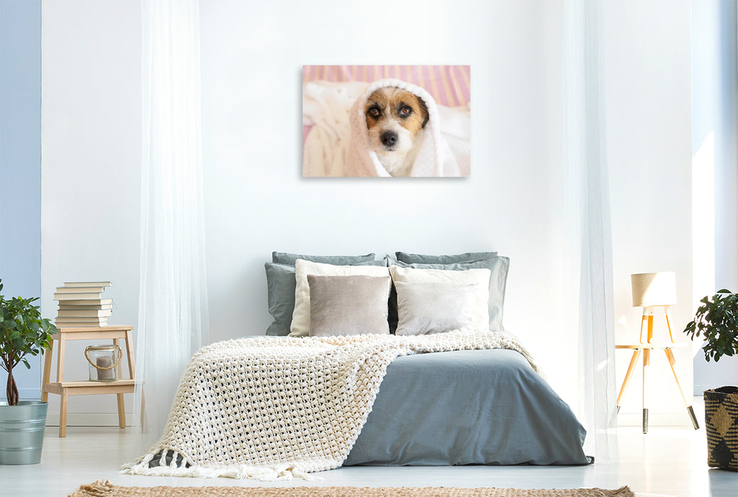 Premium Textil-Leinwand Premium Textil-Leinwand 120 cm x 80 cm quer Ein Motiv aus dem Kalender Kleine Hundeauszeiten auf Terrierart!