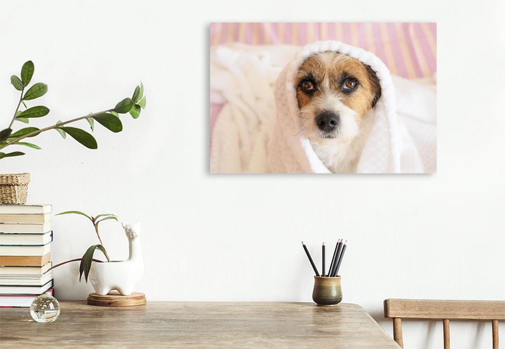 Premium Textil-Leinwand Premium Textil-Leinwand 120 cm x 80 cm quer Ein Motiv aus dem Kalender Kleine Hundeauszeiten auf Terrierart!