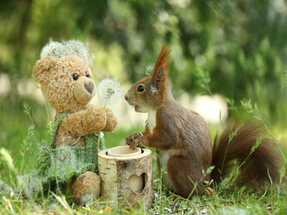 Eichhörnchen und Teddy mit Pusteblume - CALVENDO Foto-Puzzle'