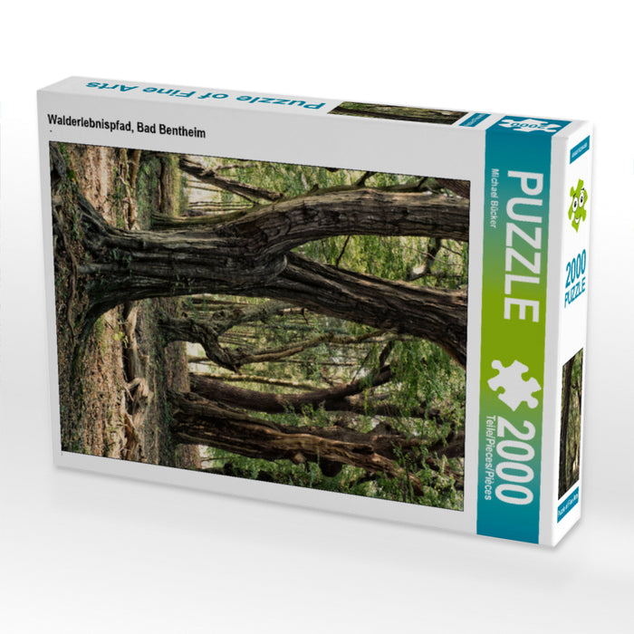 Forest adventure trail, Bad Bentheim - CALVENDO photo puzzle 