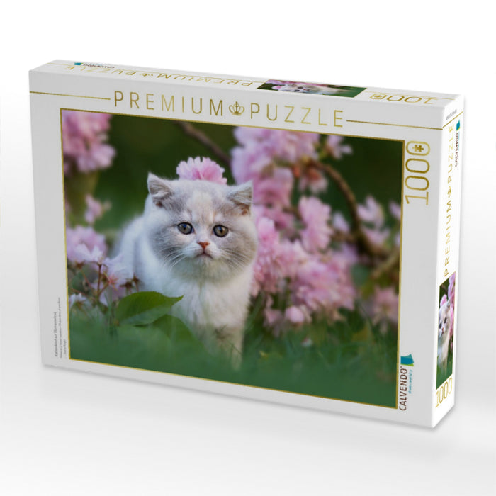 Katzenkind auf Blumenwiese - CALVENDO Foto-Puzzle'