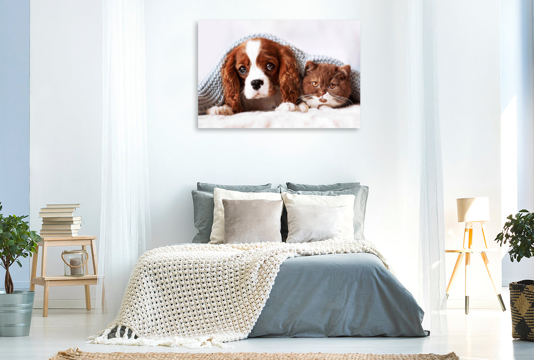 Premium textile canvas Premium textile canvas 120 cm x 80 cm landscape Best Friends - BKH kitten and Cavalier King Charles Spaniel puppy 
