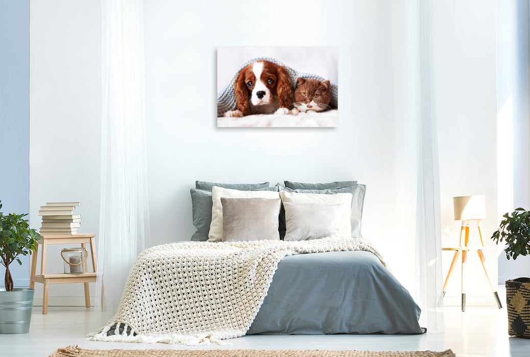 Premium textile canvas Premium textile canvas 120 cm x 80 cm landscape Best Friends - BKH kitten and Cavalier King Charles Spaniel puppy 