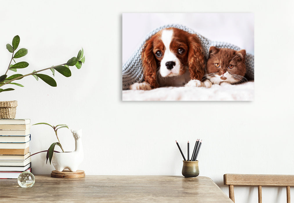 Premium textile canvas Premium textile canvas 120 cm x 80 cm landscape Best Friends - BKH kitten and Cavalier King Charles Spaniel puppy 