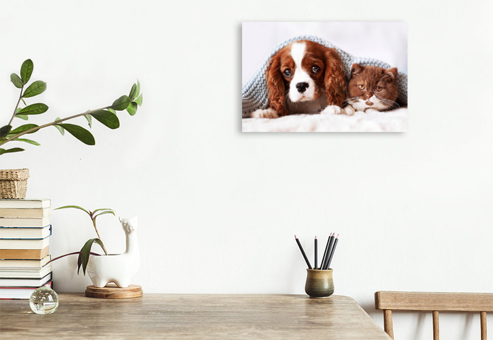 Premium Textil-Leinwand Premium Textil-Leinwand 120 cm x 80 cm quer Best Friends - BKH Kitten und Cavalier King Charles Spaniel Welpe