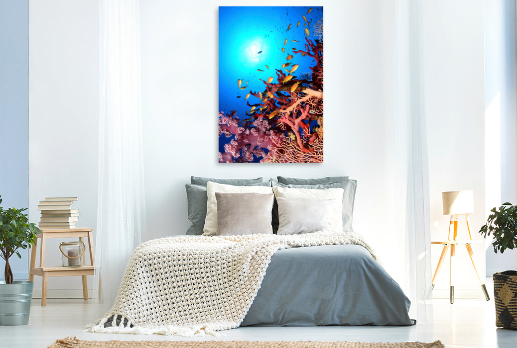 Premium textile canvas Premium textile canvas 80 cm x 120 cm high coral reef paradise 