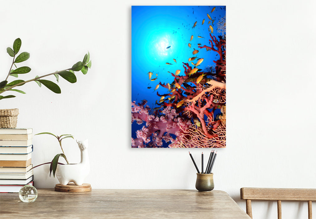 Premium textile canvas Premium textile canvas 80 cm x 120 cm high coral reef paradise 