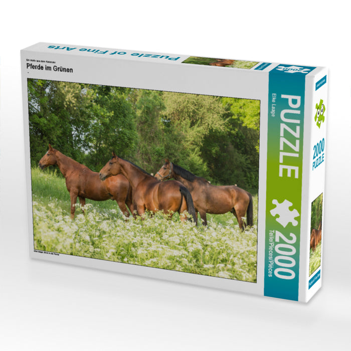Ein Motiv aus dem Kalender Pferde im Grünen 2000 Teile Puzzle quer - CALVENDO Foto-Puzzle'