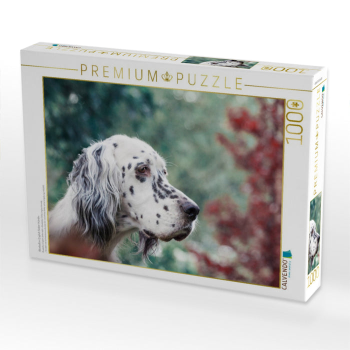 Bluebelton English Setter Hündin - CALVENDO Foto-Puzzle'