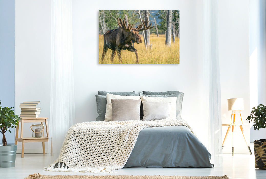 Premium textile canvas Premium textile canvas 120 cm x 80 cm landscape The star among Alaska's wild animals 